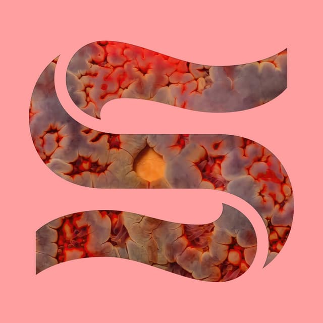 Around You cover art