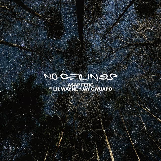 No Ceilings (feat. Lil Wayne & Jay Gwuapo) cover art