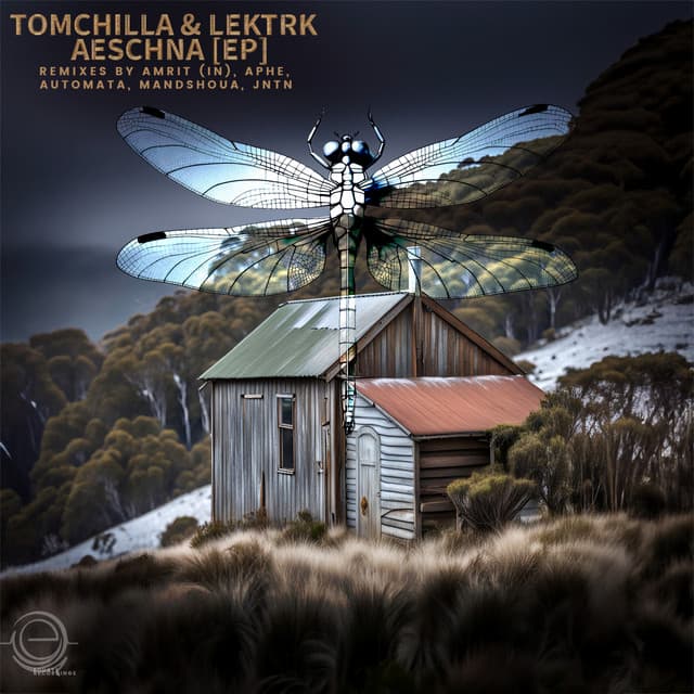 Del Fear - Automata Remix cover art