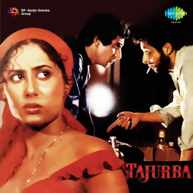 Ek Nahin Hum Do cover art
