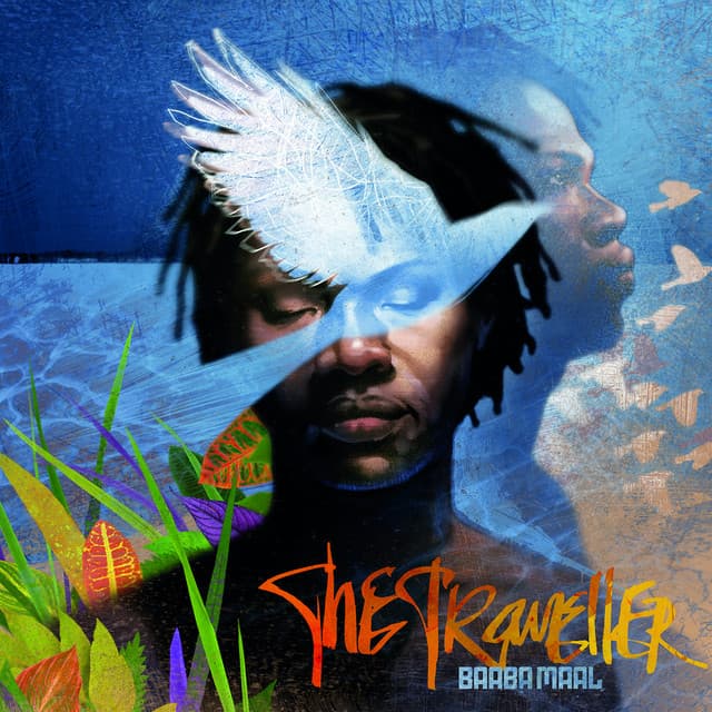 Fulani Rock cover art