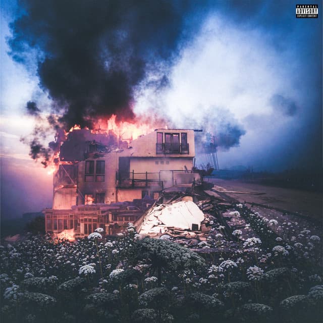 Carrot Flowers cover art