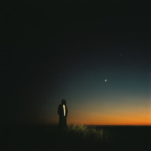 NS+ (ULTRA) cover art