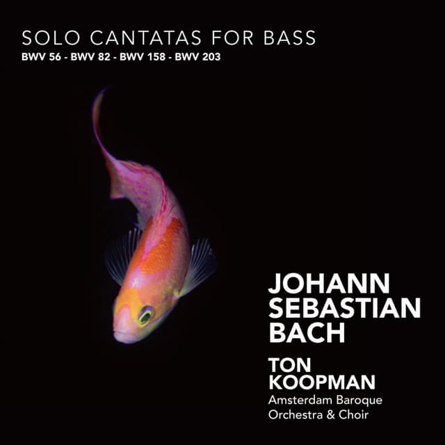 Bach: Solo Cantatas for Bass cover art
