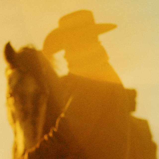 PONYBOI cover art