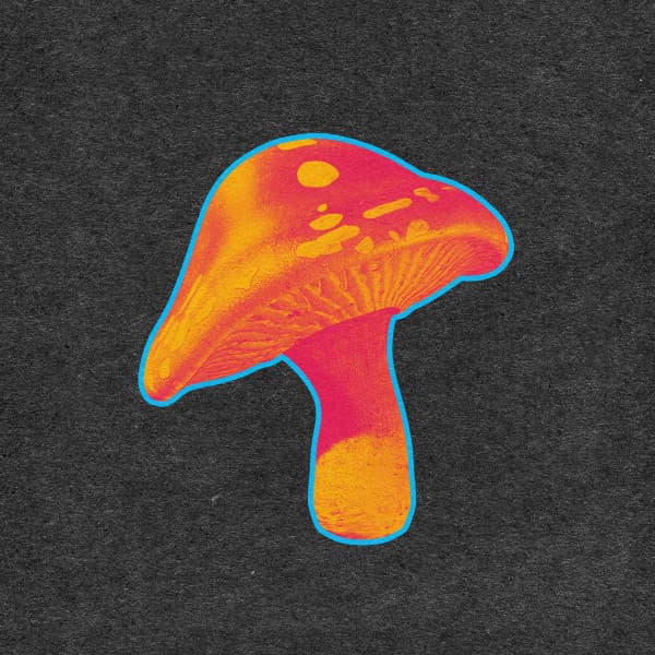 Brain Fog (with Del The Funky Homosapien) cover art