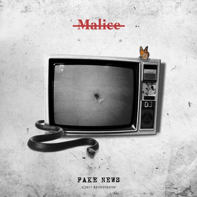 Fake News cover art
