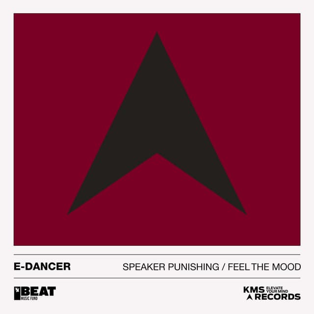 Speaker Punishing - The Dirty Mix cover art