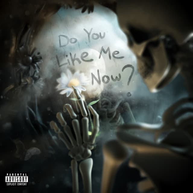 Do You Like Me Now cover art