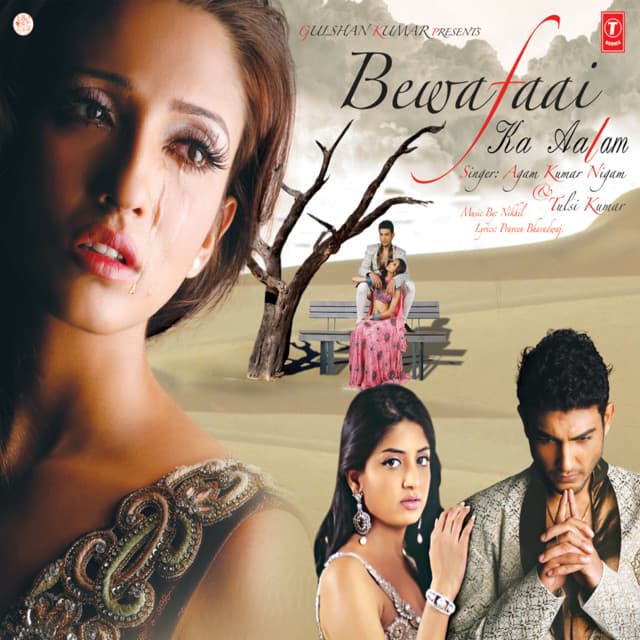 Bewafaai Ka Aalam cover art