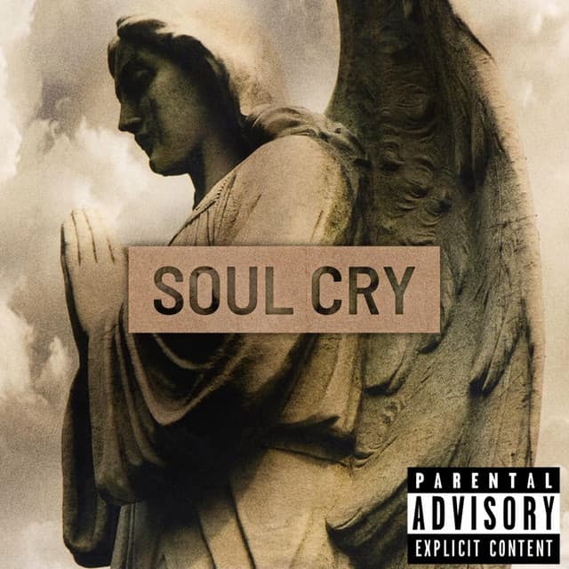 Soul Cry cover art