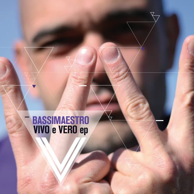 Stupitude cover art