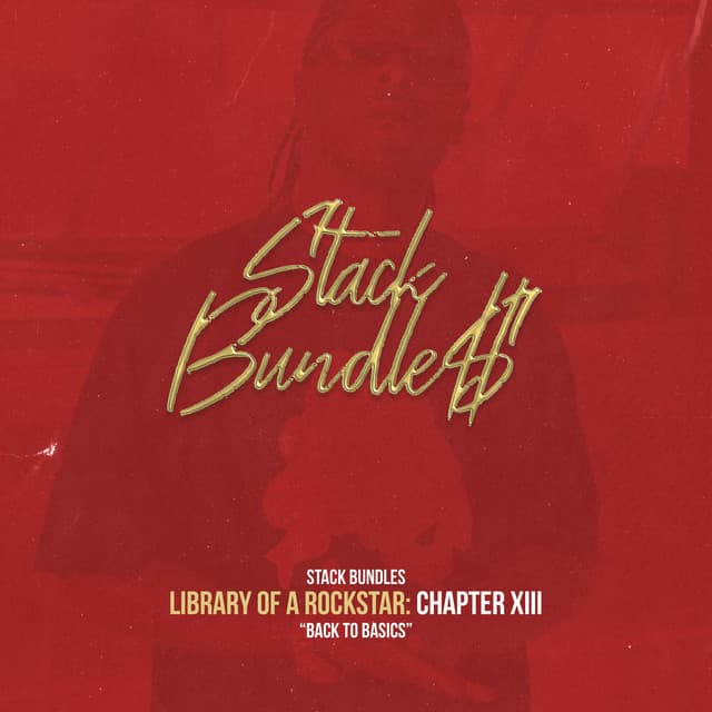 Library of a Rockstar: Chapter 13 - Back to the Basics cover art