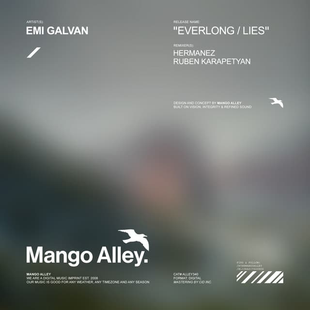 Everlong / Lies cover art