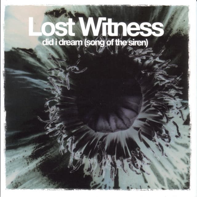 Did I Dream (song Of The Siren) (radio Edit) cover art