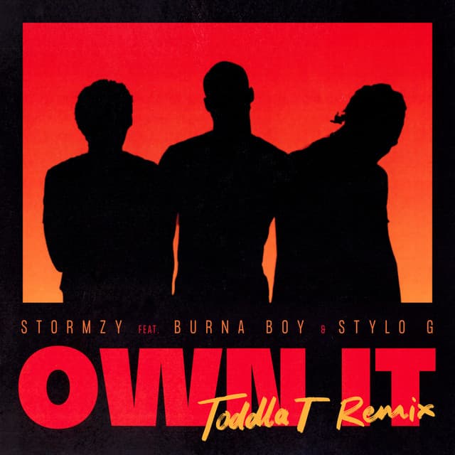 Own It (feat. Burna Boy & Stylo G) [Toddla T Remix] cover art