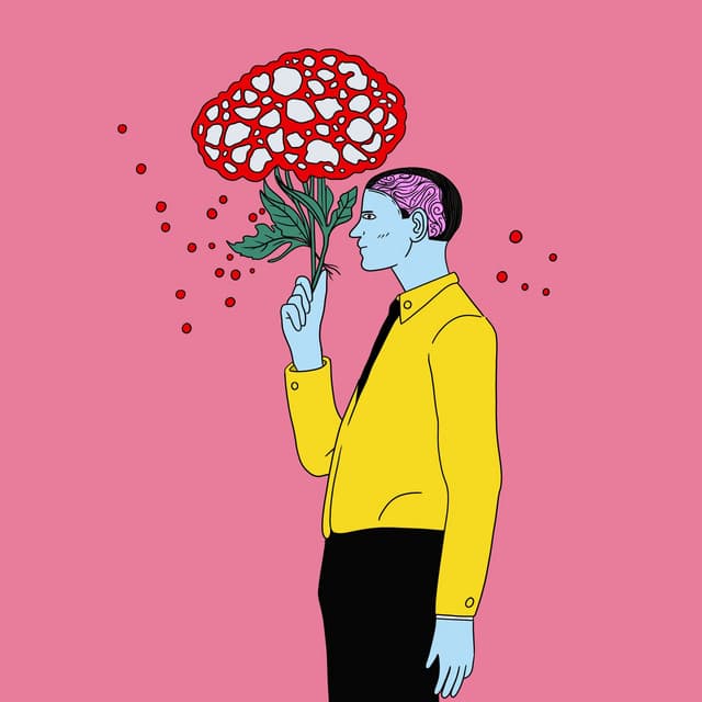 perspective cover art