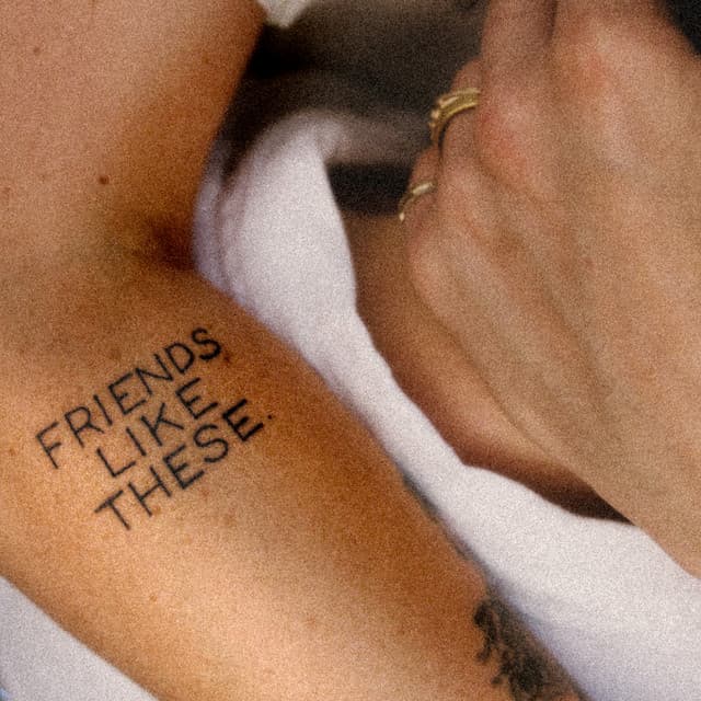 Friends Like These cover art