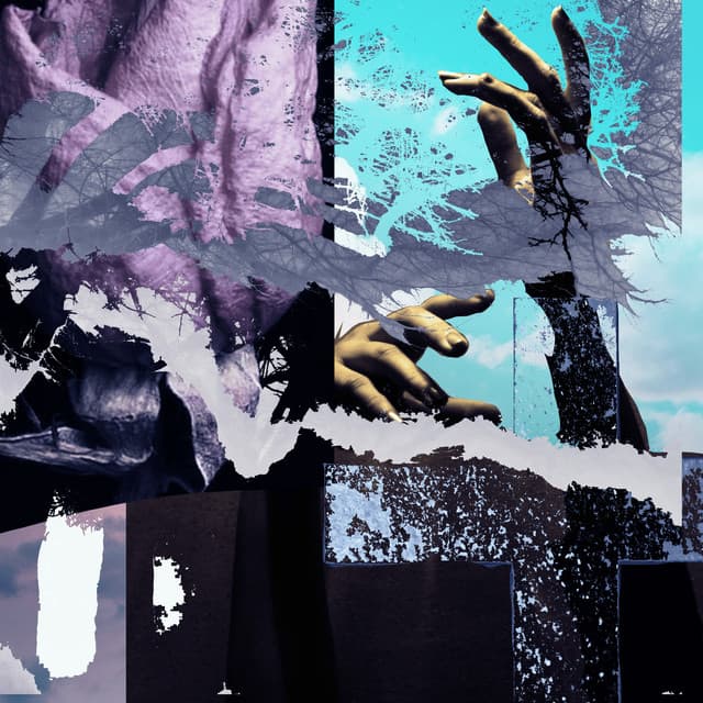 echo cover art