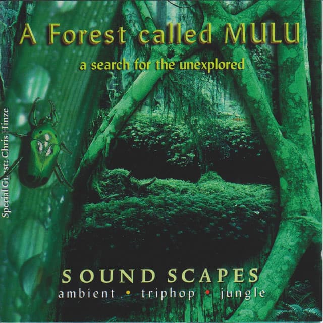 M.S.L. cover art