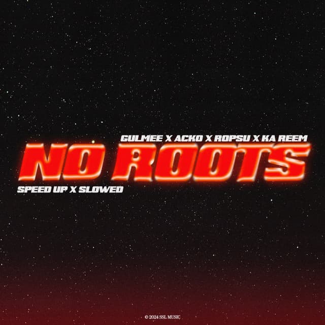 No Roots - Sped Up cover art