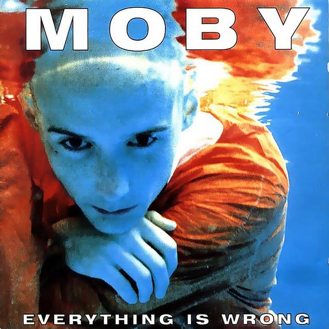 Everything Is Wrong cover art