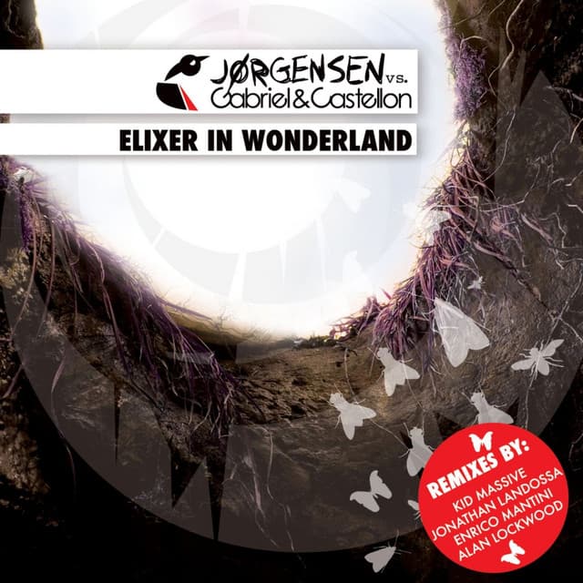 Elixer in Wonderland - Alan Lockwood Remix cover art