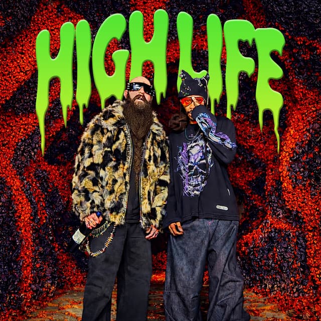 HIGH LIFE cover art