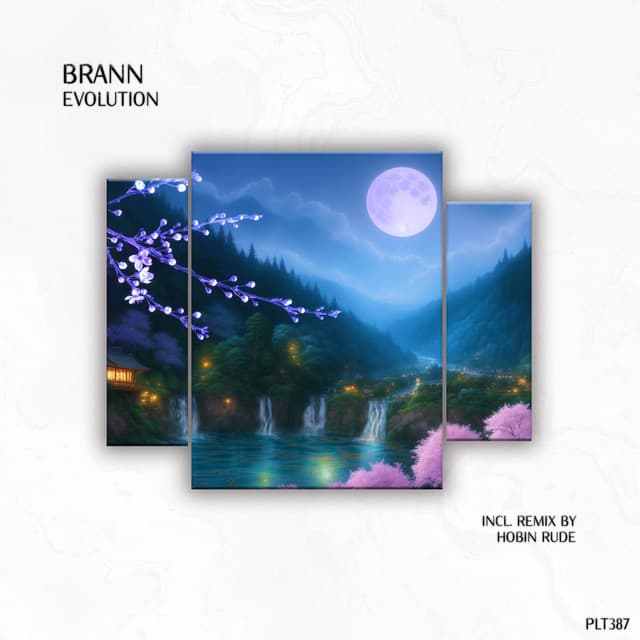 Evolution cover art