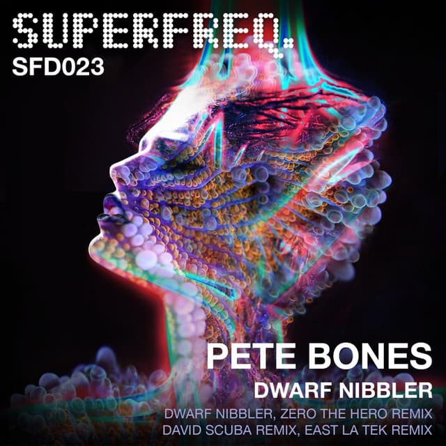 Dwarf Nibbler - Zero The Hero Remix cover art