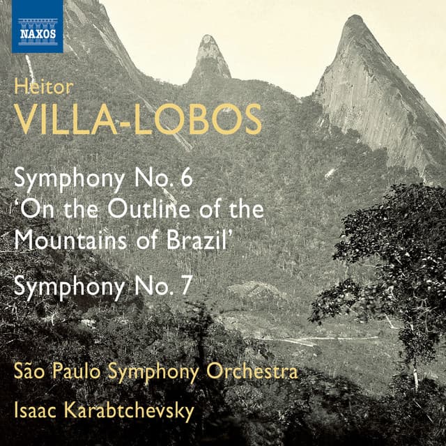 Symphony No. 6, "On the Outline of the Mountains of Brazil": IV. Allegro cover art