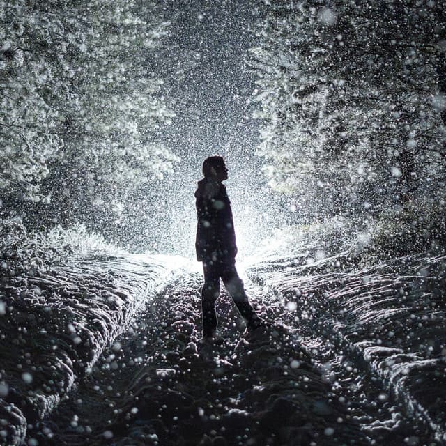 Willfully Blind cover art