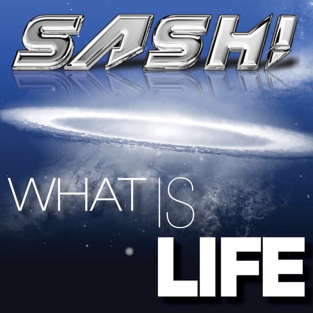 What Is Life - Maurice Da Vido Remix cover art