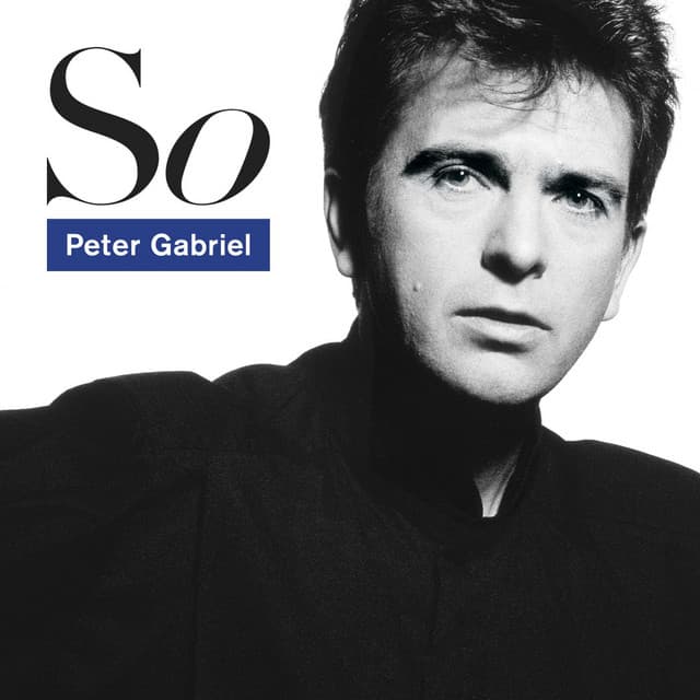 This Is the Picture - Live cover art