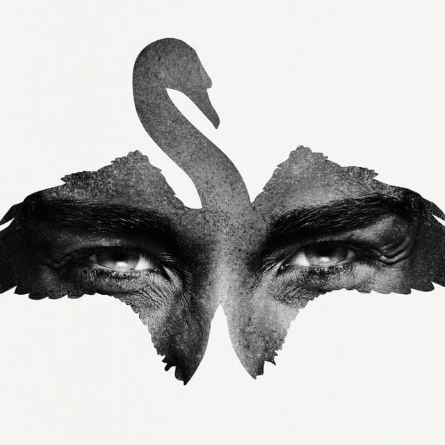 Reflection cover art