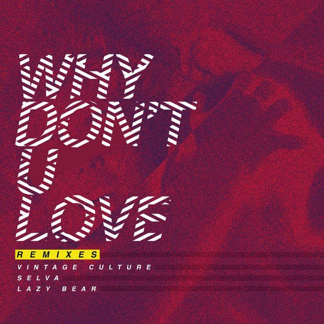 Why Don't U Love - Cat Dealers Remix cover art