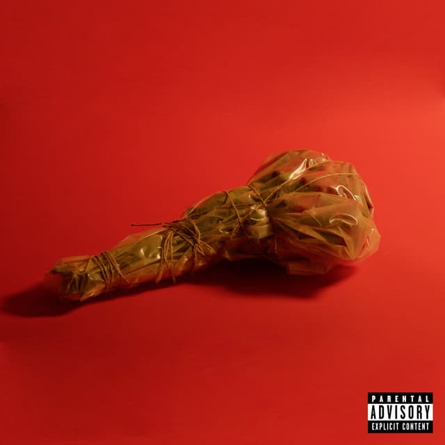 body bag cover art