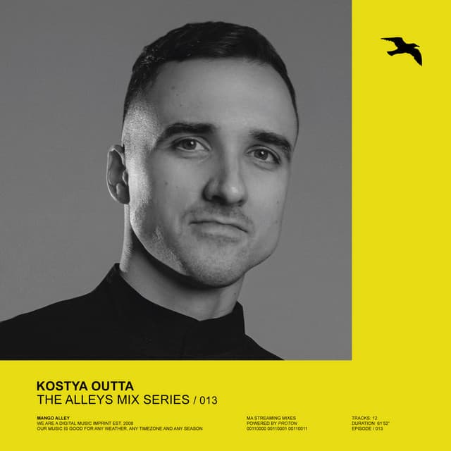 The Alleys Mix Series 013 (DJ Mix) cover art