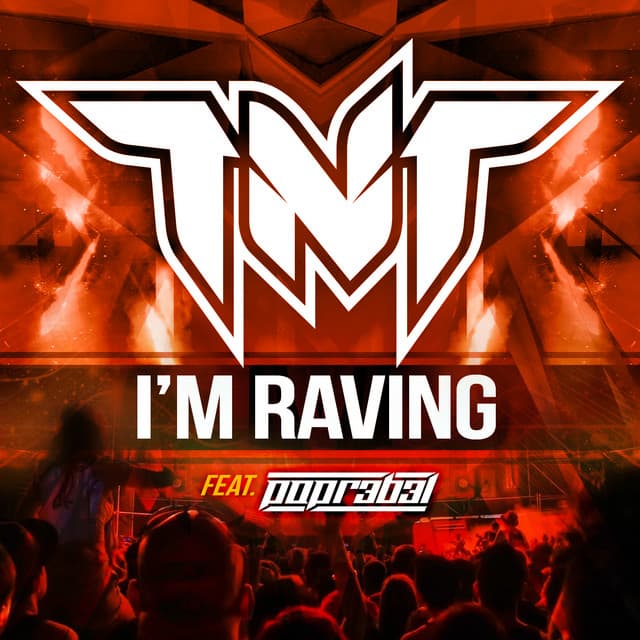 I'm Raving - Original mix cover art