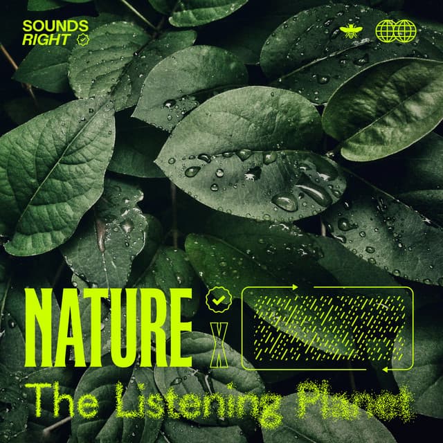Soothing Rain in Washington cover art