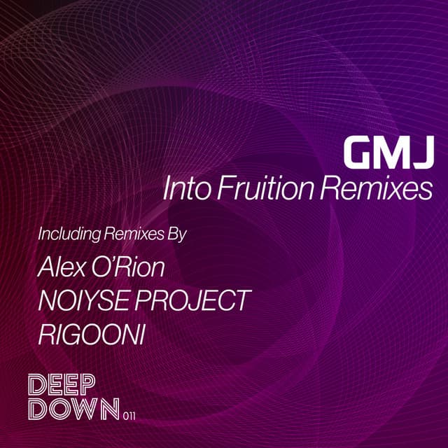 Into Fruition Remixes cover art