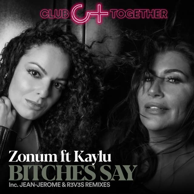 Bitches Say - R3V3S Remix cover art