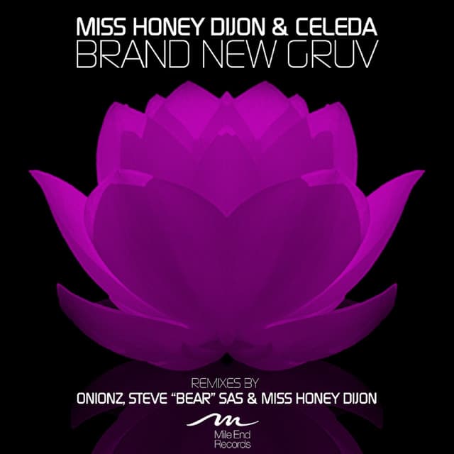 Brand New Groove - Steve "Bear" Sas Jar full of Honey Remix cover art