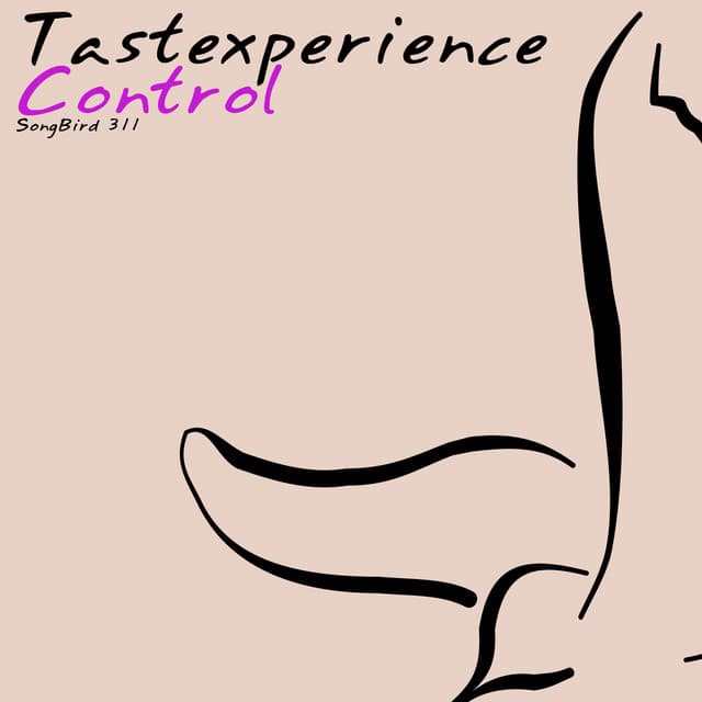 Control - Daniel Wanrooy Remix cover art