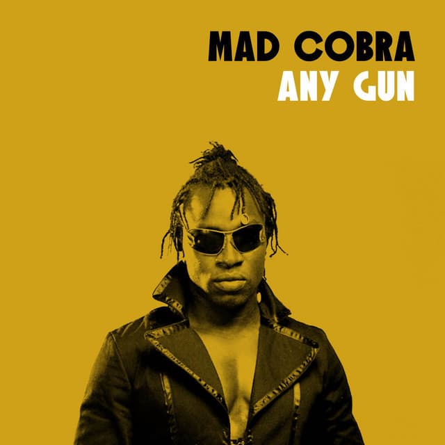 Any Gun cover art