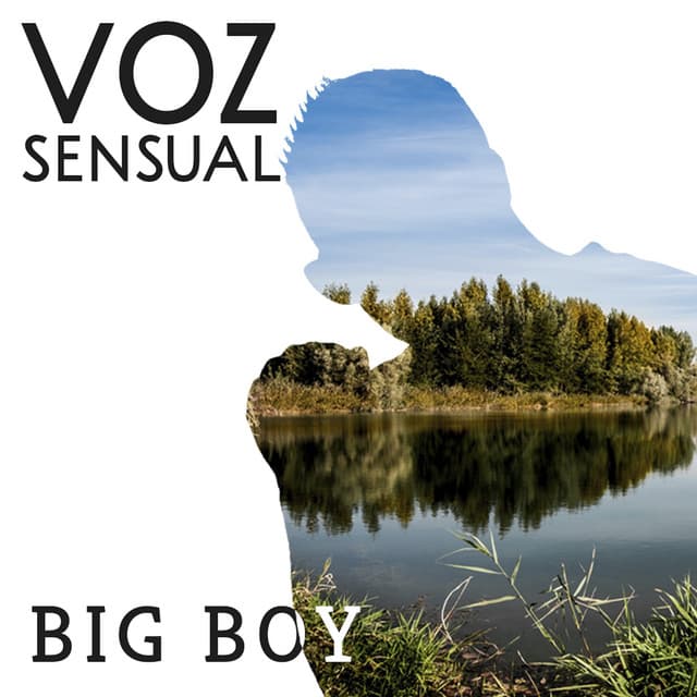 Voz Sensual cover art