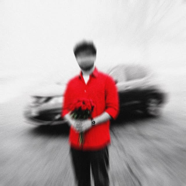 TIMELESS cover art