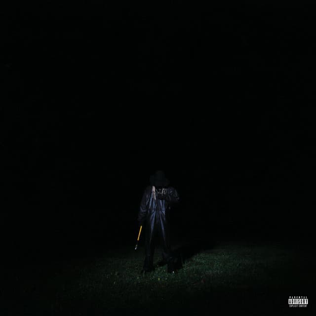 came in wit cover art