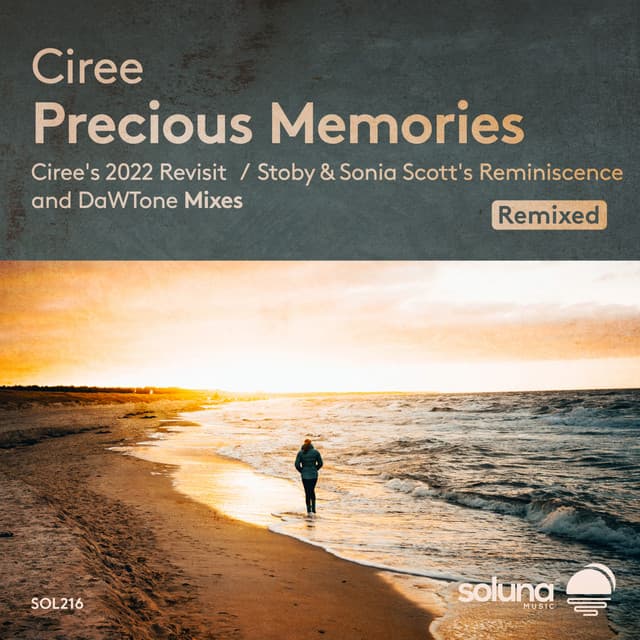 Precious Memories - DaWTone Remix cover art