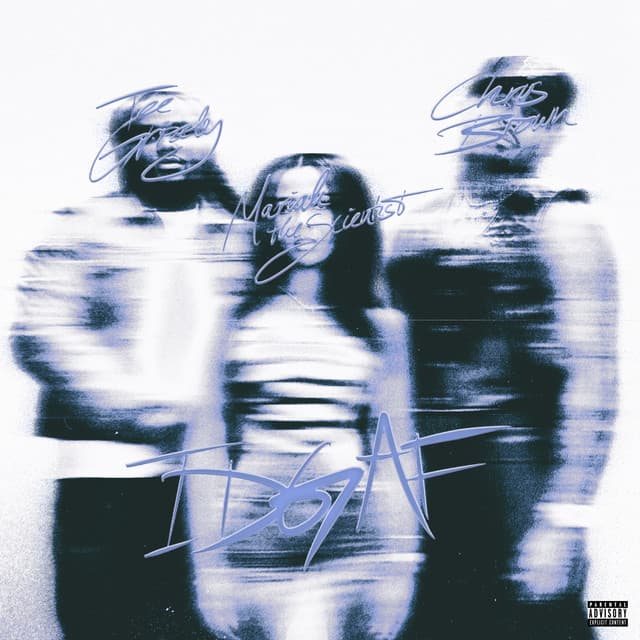 IDGAF (feat. Chris Brown & Mariah the Scientist) [Sped Up] cover art